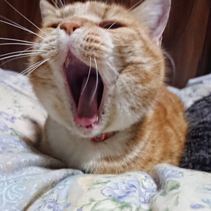 A5d062d9 12f5 4a40 bb70 5ef7c9c2a3ea 1578744680897