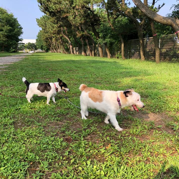 A5d0863e 30ae 488c 88fb ffe2a1b3d093 1564444274547