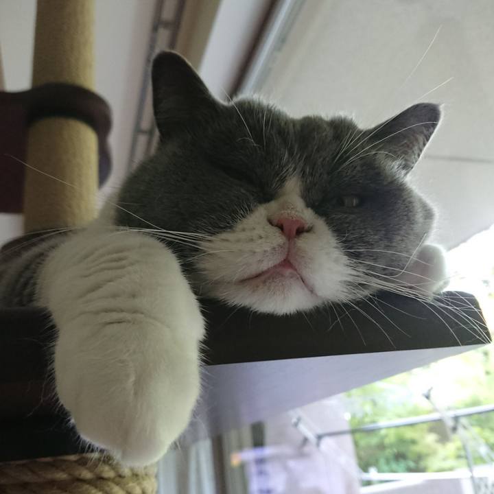 A5d0af4b bb6b 4052 80b8 7fd53d3dc004 1565143741271