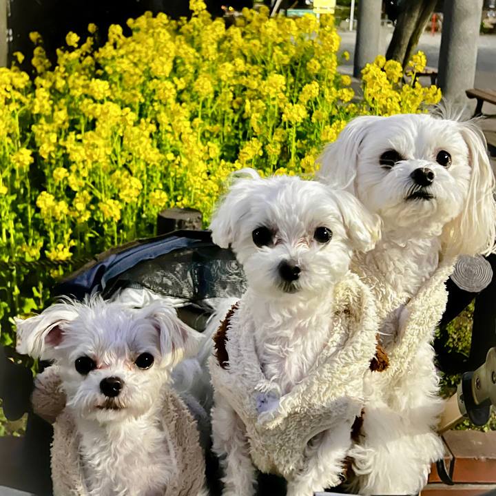 A5d0bbfa 8b10 4387 ba9b 902c89aea211 1677490220444