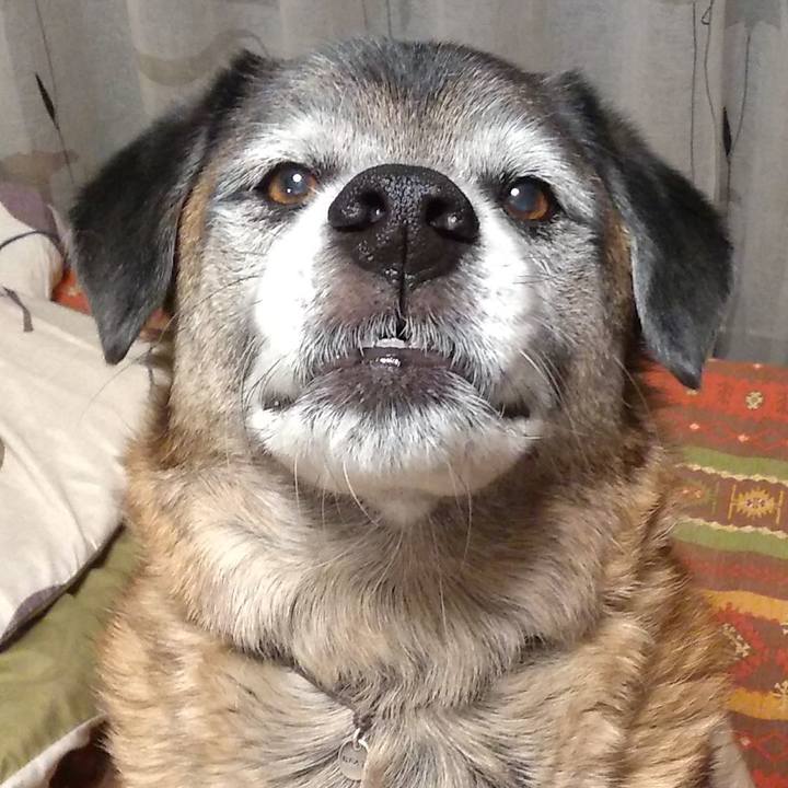 A5d0bfa4 8144 4296 845e dcd2d889a76f 1548753946837