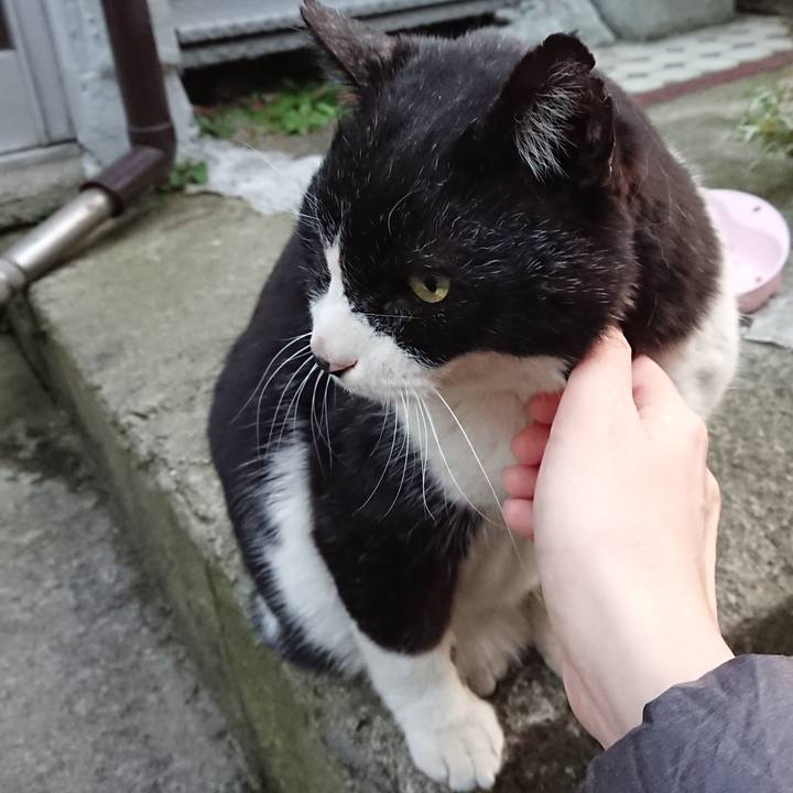 A5d0c7d2 8428 46b6 b1e6 6ee2cd82d9ee 1677920465389