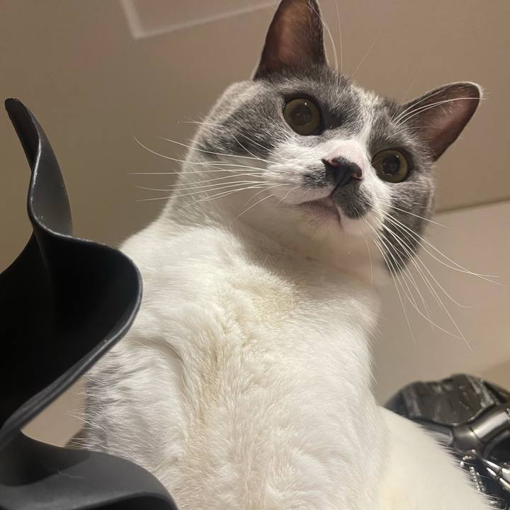 A5d0caee 79ba 4344 8cc4 62f40f905a17 1627387082353