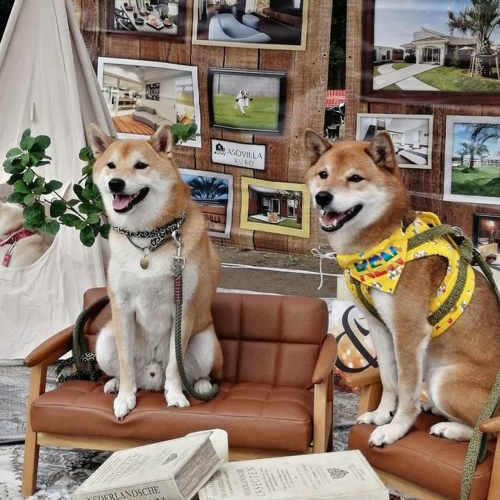 A5d0ed7c 6daf 49ab 9158 189c46a101b5 1604834208380