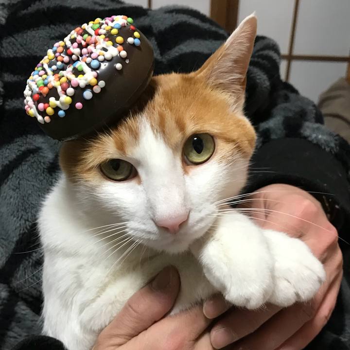 A5d0fc26 8caa 48f8 9662 e5602b13f1dd 1518606850984