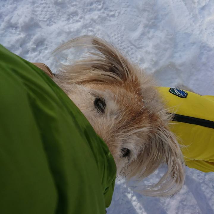 A5d108d4 339f 4c85 86b9 3ab4a7898865 1578215440274