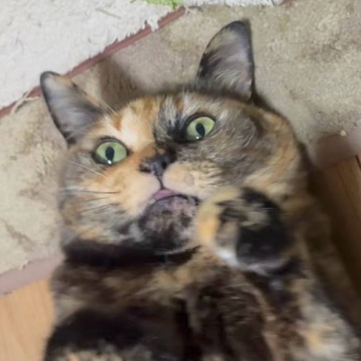 A5d123b1 e7a3 4593 8018 0c0b5ec7a308 1772572029835