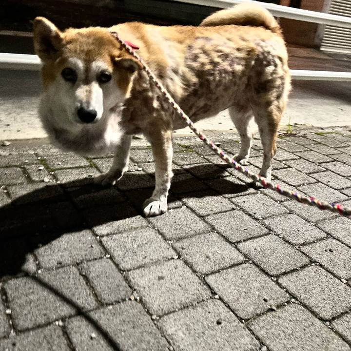 A5d142bb 0aa3 430a 979b 90eaaf03644c 1762078514293