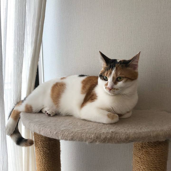 A5d16296 1e23 4ea4 98c2 4588a3ffb13a 1587527588009