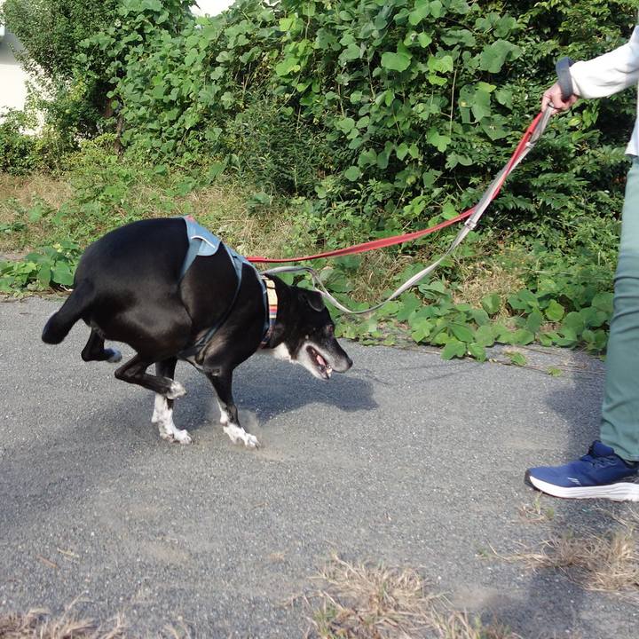 A5d1afd4 a71b 40ad b053 6480c00f3dc7 1729471351001