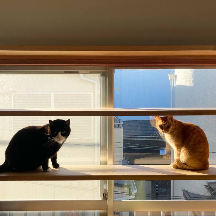 A5d1dc66 f951 480e a733 544511cbe4ab 1608435153140