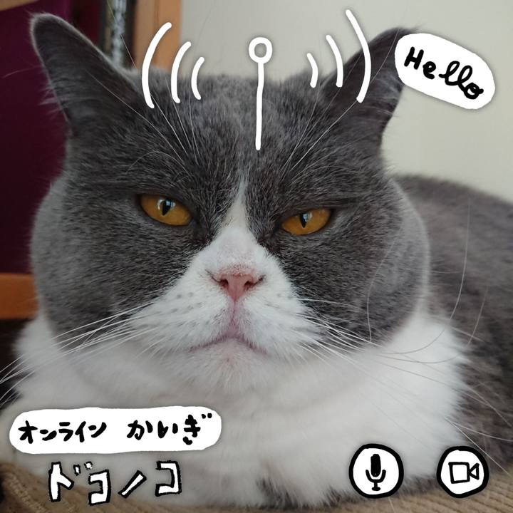 A5d1f5b3 e80b 4bc7 ab3f 67f14702b36c 1590760775621