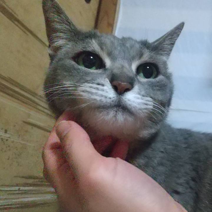 A5d20256 78da 4c00 ac14 c6a6e1f3951b 1615730840300