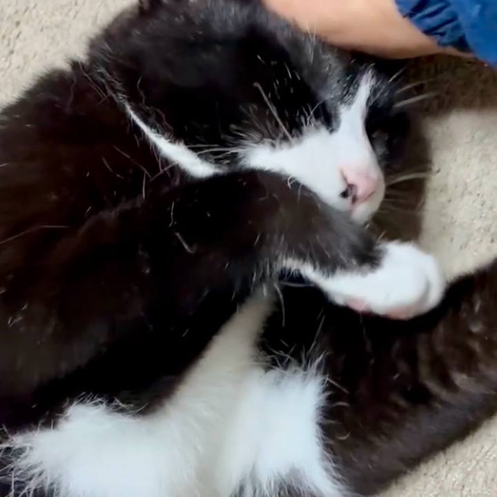 A5d22054 8385 45a2 915b ff90f1e9b831 1750558231701