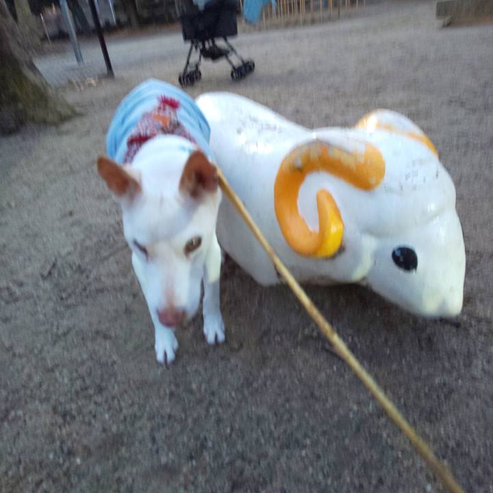 A5d23397 2dbe 47c0 802c 4d2c60baabd4 1548664567257