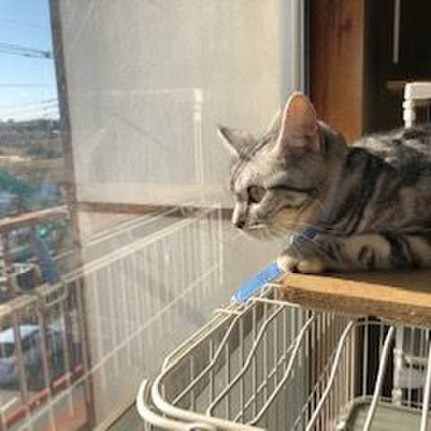 A5d235ef 254b 414a ad30 736ceb48a8bf 1547937895784