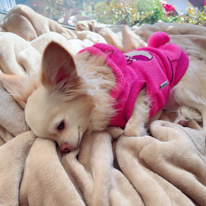 A5d24f08 bd84 4d6c 81fe 95f437ee0698 1740125106016