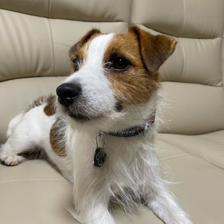 A5d2821c 02ac 4aba aaf5 6195205cf447 1724279213924