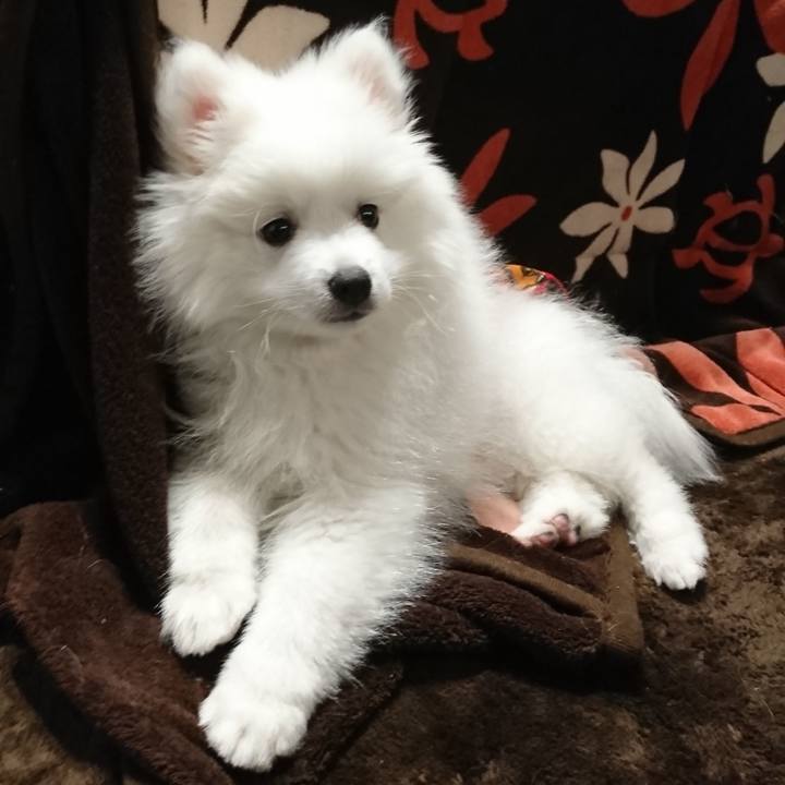 A5d2d7d0 fef2 4cd6 8d67 dac6860b1022 1546010381477