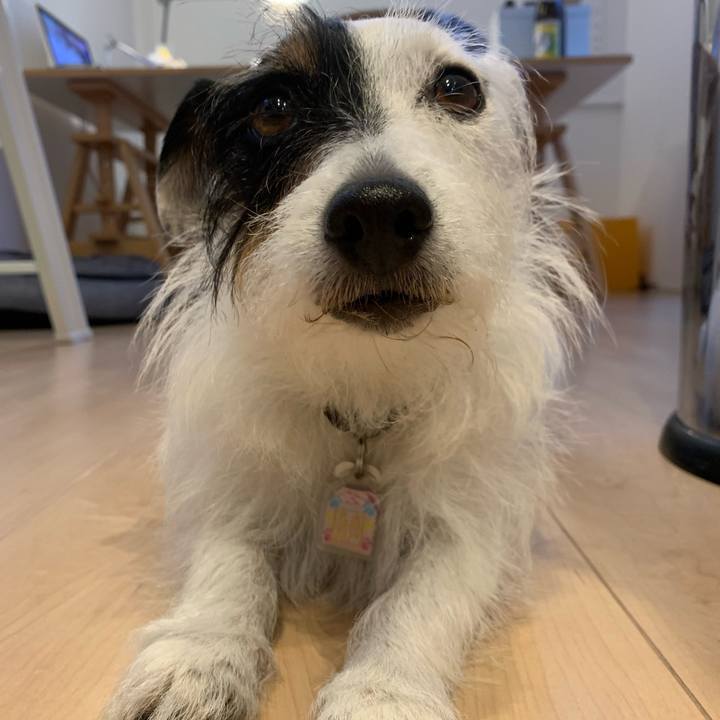 A5d318e0 65c4 47ff b8b3 996146ce4a23 1655632554956