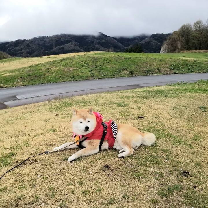 A5d330f2 fd76 4c9a b04a 244dfe32b211 1681278022155