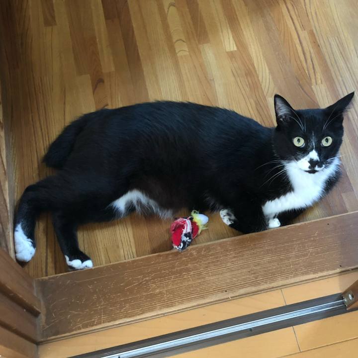 A5d33f7f d02c 43cd b427 507ccb189bf1 1664509229802