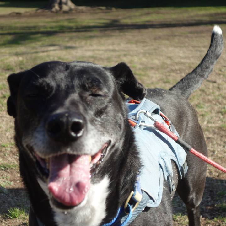 A5d34c31 d895 4344 ac6d e3441bd0b3cb 1710380913907