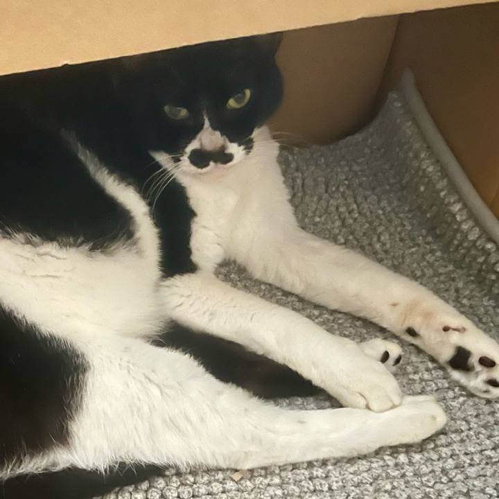 A5d34faf f74a 4a8a 83d0 dacd9333c24c 1716162682590