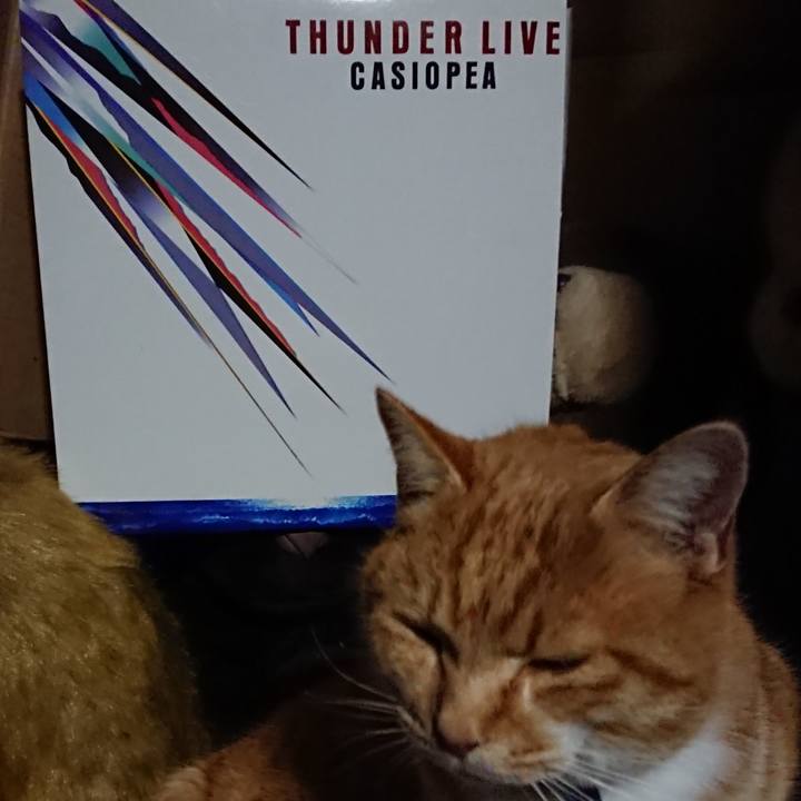 A5d3713e f7a0 43ad 8ee5 e89731441127 1608117801559