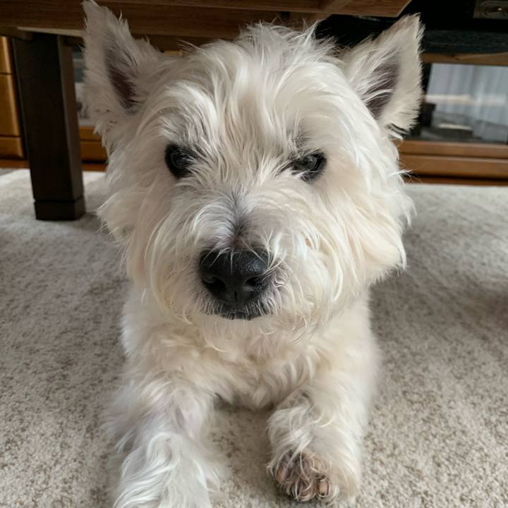 A5d3ecd5 7642 4d8e 9f4a e0d342c99d13 1594787383475