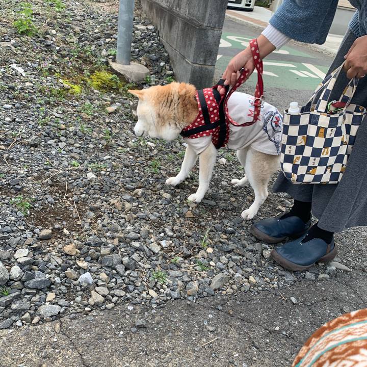 A5d3f154 693f 4ae0 b0b1 a79cf8672f8b 1574152356404