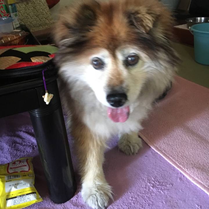 A5d42531 ae3c 4b77 a4c7 a555d3b5c2ad 1588663128778