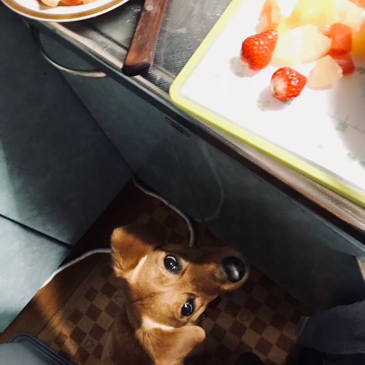 A5d48fa3 9fc2 4902 bce9 ed148cfacd2f 1523881851339