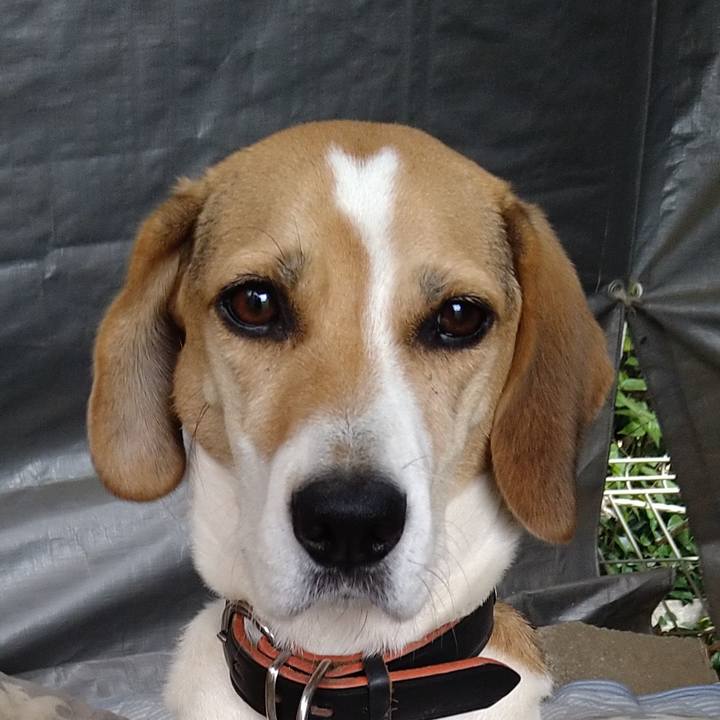 A5d4c38c f3b5 44f1 9fff 62749a0e3674 1635484051506