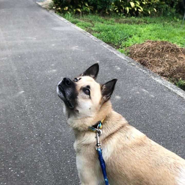 A5d4cb8c 1407 4272 8ed3 b5f32dc9fef7 1562154162392