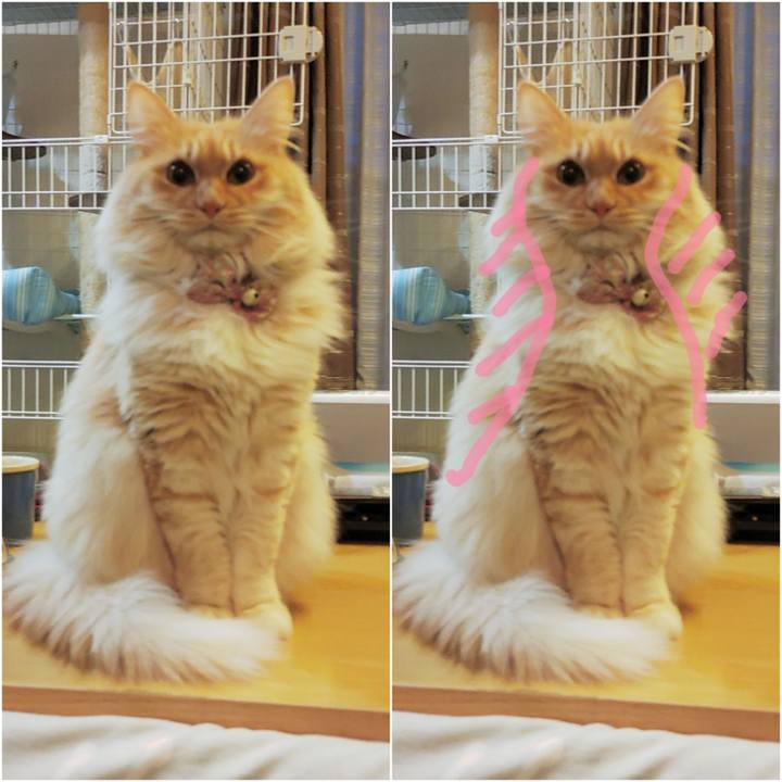 A5d4fc58 9822 4aef a8bc c192b0ff03f0 1672352101802