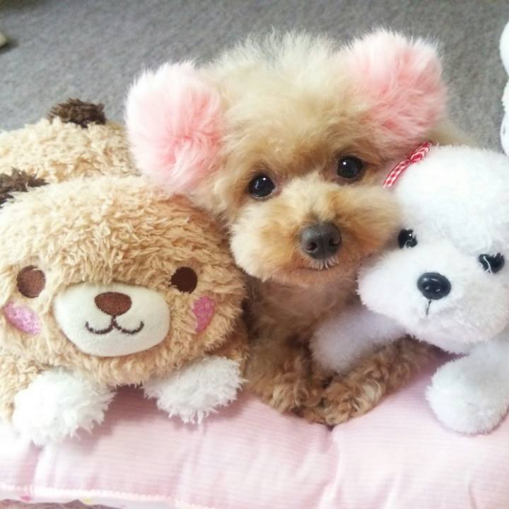 A5d510ae 4bef 466b ae3c 19cc7cab6b2d 1561009996758