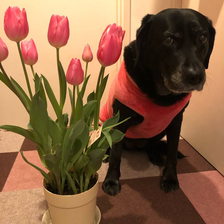 A5d51223 0ec7 4577 bb70 d33c4d7aa351 1580454532522