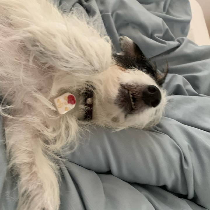 A5d51235 4ac8 4fa8 aff4 9ee86974cfac 1633048821847