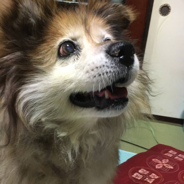 A5d51277 300f 441a af10 d2056c1fcc03 1610059652990