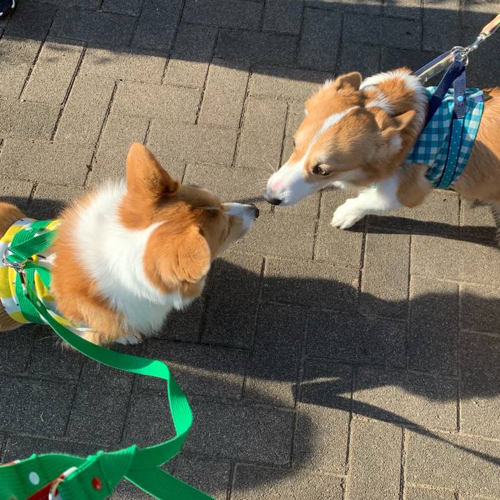 A5d53682 5d35 40c7 9c92 feea7fef8f37 1576665231008