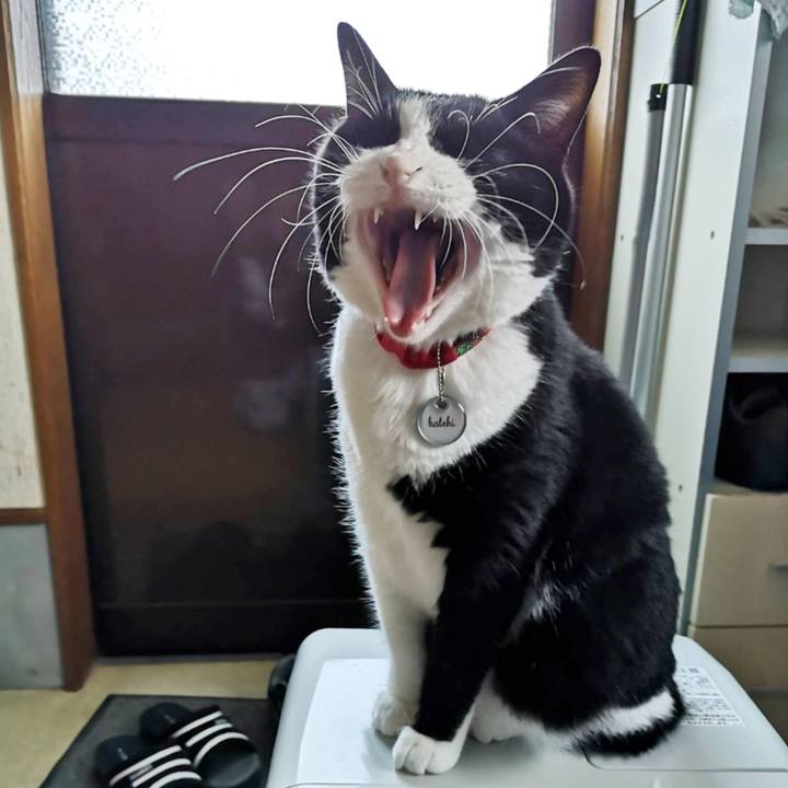 A5d565dc bd72 4881 baff 9dd92e32a55c 1667359758385