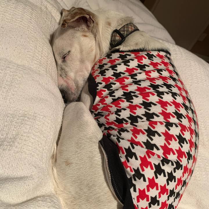 A5d56771 e248 4bd8 8c54 90de51b6ce26 1605844933000