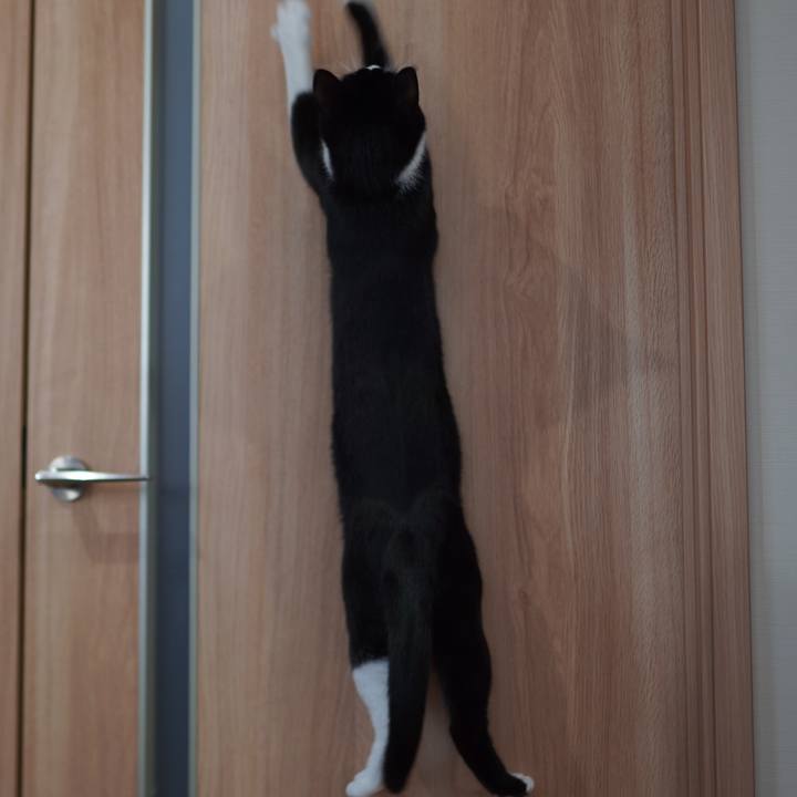 A5d59923 42c2 4e98 898c f00509e210f1 1613905499277