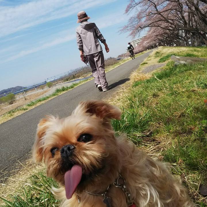 A5d5a27c 373d 441d 9788 c08edf8c04a3 1522102179788