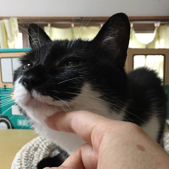 A5d5ad55 b8f3 41d4 ad07 0573e7f5d852 1560846580267