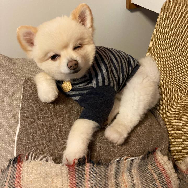 A5d5bb4c b562 4a31 a7f3 e569b91b76a9 1640959768494