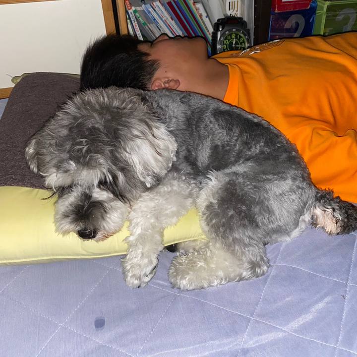 A5d5d2b8 5821 4a33 ac0e 471006216b33 1598634325036