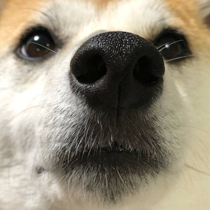 A5d5f4bc dd66 4f70 83df 22d471daf52f 1523595172739