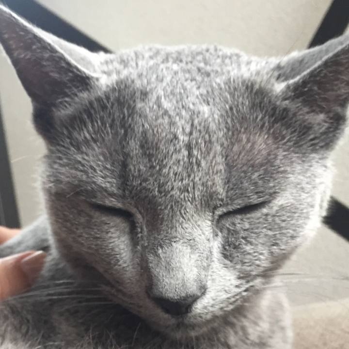 A5d65343 2230 46f7 96fd e7aabac7754e 1527809266294